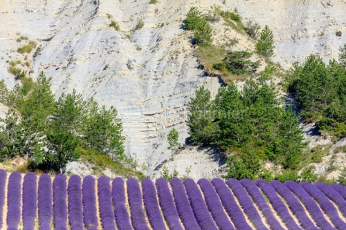 IMG_1907072180_Drôme (26) Aulan Parc Naturel Regional des Baron
