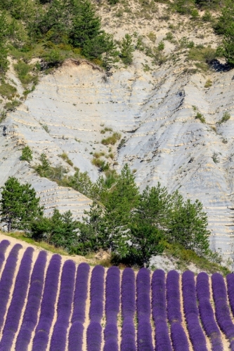 IMG_1907072183_Drôme (26) Aulan Parc Naturel Regional des Baron