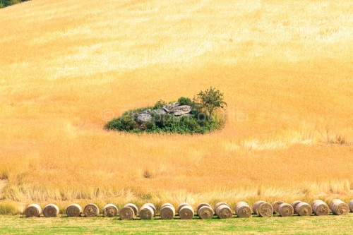 IMG_1907201227_Lozère (48)  Saint Amans Margeride Paysage agric