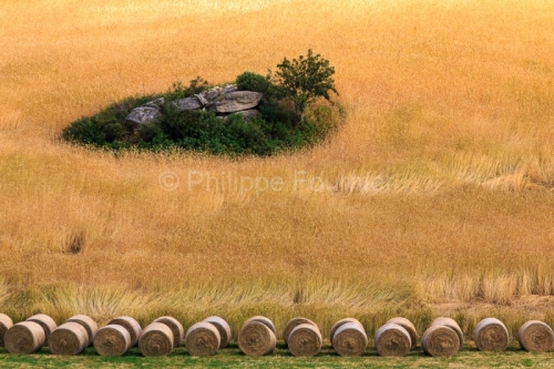 IMG_1907201255_Lozère (48)  Saint Amans Margeride Paysage agric
