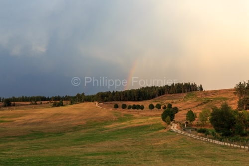 IMG_1907305155_Lozère (48)  Lachamp paysage Margeride, chemin c