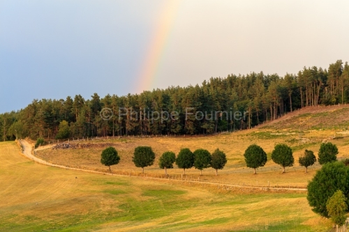 IMG_1907305653_Lozère (48)  Lachamp paysage Margeride, chemin c