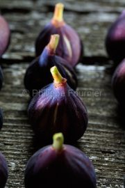 IMG_17085208_Ardèche (07) Culinaire fruits d'automne la figue