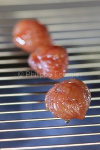 IMG_CFA_Ardeche (07) Culinaire MARRONS GLACE maison