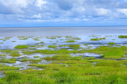 IMG_2508021470_Danemark Danemark du Sud Bredebro Nationalpark-Va