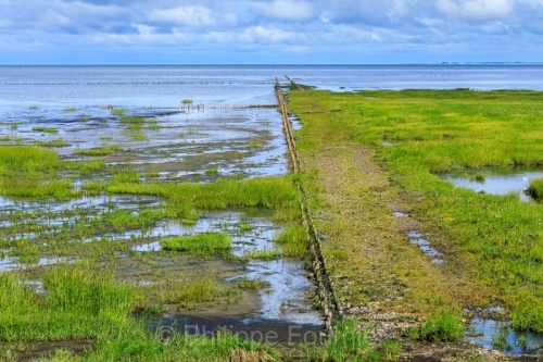IMG_2508021475_Danemark Danemark du Sud Bredebro Nationalpark-Va