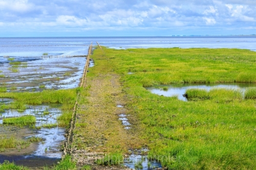 IMG_2508021482_Danemark Danemark du Sud Bredebro Nationalpark-Va
