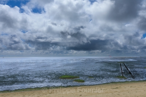 IMG_2508021494_Danemark Danemark du Sud Rømø Nationalpark-Vade