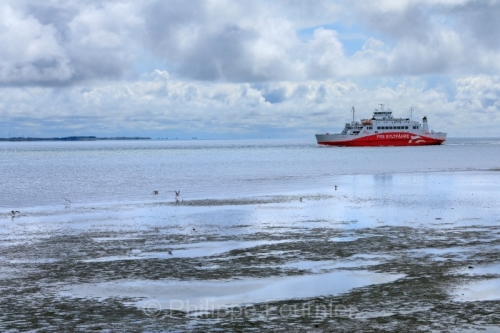 IMG_2508021508_Danemark Danemark du Sud Rømø Nationalpark-Vade