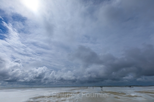 IMG_2508021559_Danemark Danemark du Sud Rømø Nationalpark-Vade