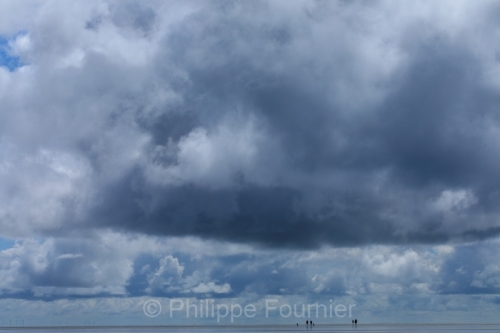 IMG_2508021567_Danemark Danemark du Sud Rømø Nationalpark-Vade