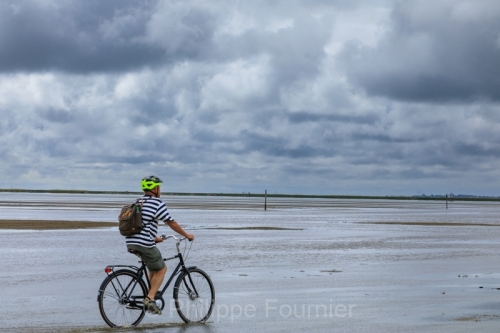 IMG_2508021595_Danemark Danemark du Sud Rømø Nationalpark-Vade