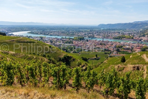IMG_15084286_Cepage  Le-Rhone  Paysage  Tain-l'Hermitage  Tourno
