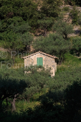 IMG_18060547_drome (26)  buis les baronnies paysage drôme prove