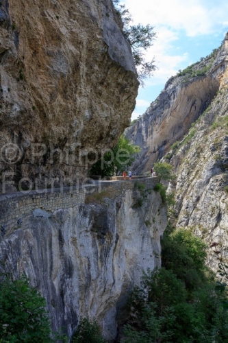 IMG_18072821_DROME (26)  ÉCHEVIS PARC NATUREL REGIONAL DU VERC
