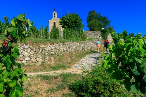 IMG_18093323_DROME (26)  TAIN L'HERMITAGE LA CHAPELLE SAINT CHRI