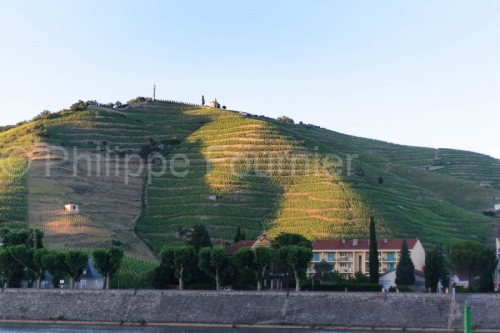 IMG_52599_VIGNOBLE CHAPELLE DE L'HERMITAGE TAIN L'HERMITAGE DROM