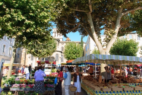 IMG_58294_JOUR DE MARCHE PLACE DES ORMEAUX VALENCE DROME 26_JOUR