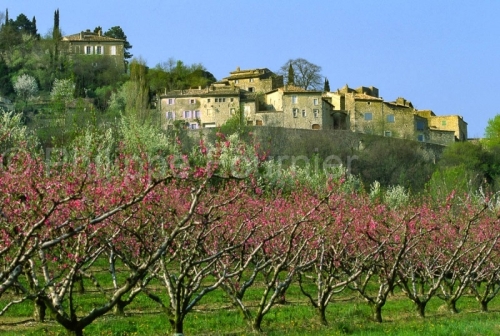 IMG_262998_DROME (26)  MIRMANDE VILLAGE BOTANIQUE HABITAT TRADIT