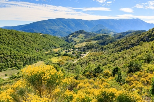 IMG_14066393_drome (26) le barret de lioure (parc naturel region
