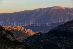 Parc-Naturel-Regional-des-Baronnies-Provençales