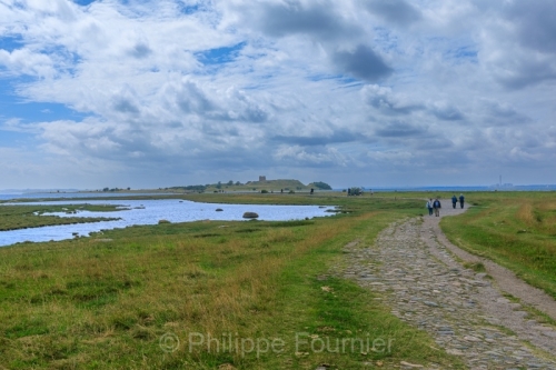 IMG_2507260492_Danemark Jutland-Central Rønde Nationalpark-Mols