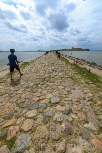 IMG_2507260512_Danemark Jutland-Central Rønde Nationalpark-Mols