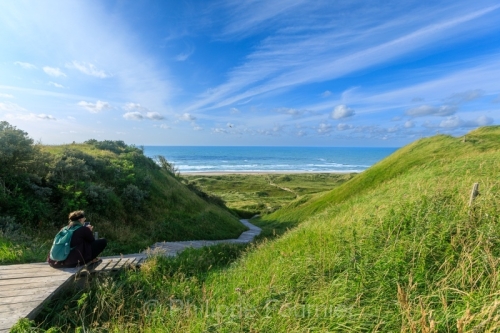 IMG_2507270593_Danemark Jutland-du-Nord Fjerritslev Svinklov-Bea