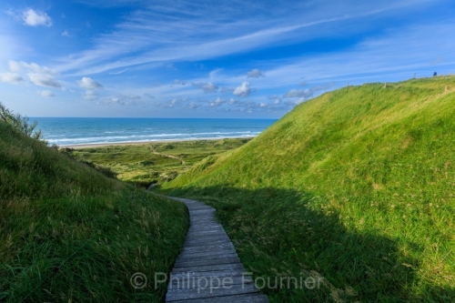 IMG_2507270596_Danemark Jutland-du-Nord Fjerritslev Svinklov-Bea