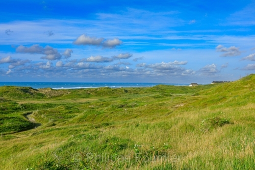 IMG_2507270599_Danemark Jutland-du-Nord Fjerritslev Svinklov-Bea