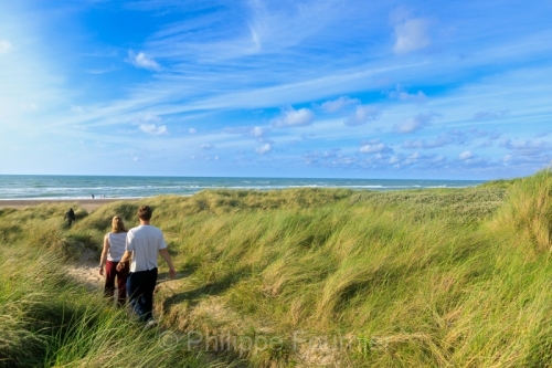 IMG_2507270610_Danemark Jutland-du-Nord Fjerritslev Svinklov-Bea