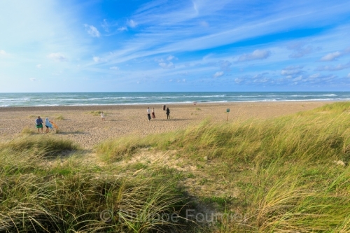 IMG_2507270626_Danemark Jutland-du-Nord Fjerritslev Svinklov-Bea