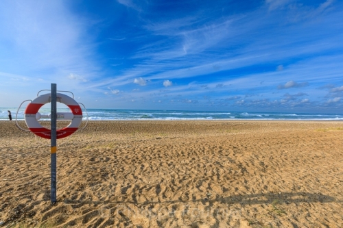 IMG_2507270631_Danemark Jutland-du-Nord Fjerritslev Svinklov-Bea