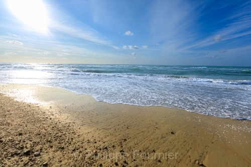 IMG_2507270694_Danemark Jutland-du-Nord Fjerritslev Svinklov-Bea