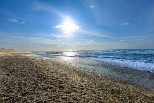 IMG_2507270719_Danemark Jutland-du-Nord Fjerritslev Svinklov-Bea