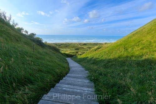 IMG_2507270776_Danemark Jutland-du-Nord Fjerritslev Svinklov-Bea