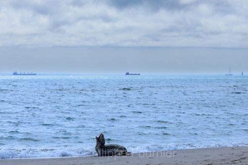 IMG_2507280893_Danemark Jutland-du-Nord Skagen La pointe de Gren
