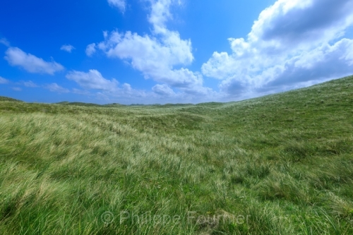 IMG_2507291007_Danemark Jutland-du-Nord Thisted Nationalpark-Thy