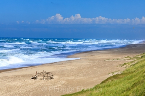 IMG_2507291044_Danemark Jutland-du-Nord Thisted Nationalpark-Thy