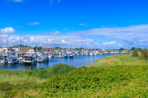 IMG_2507301449_Danemark Jutland-du-Nord Hals port de Hou, Hou Ha