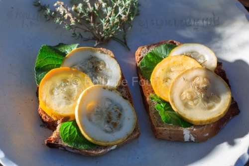 IMG_2308280431_Ardèche (07) Rochemaure l'antigaspillerie, Recet