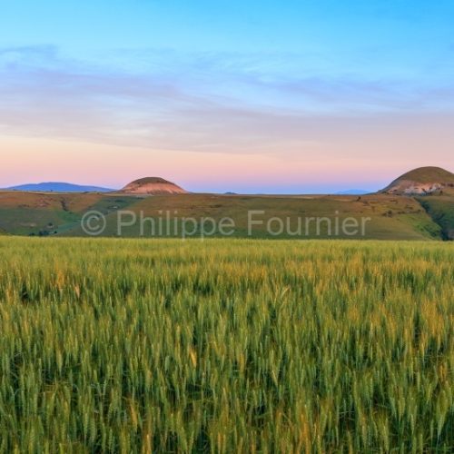 Mont Lozère