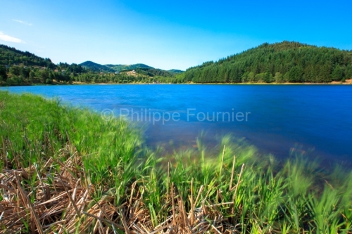 IMG_15070314_ARDECHE (07) SAINTE EULALIE (PARC NATUREL REGIONAL