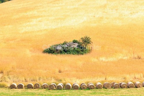 IMG_1907201227_Lozère (48)  Saint Amans Margeride Paysage agric