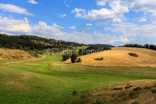 IMG_1907201243_.CR2