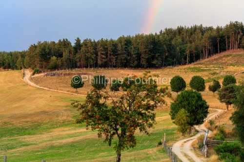 IMG_1907305648_Lozère (48)  Lachamp paysage Margeride, chemin c