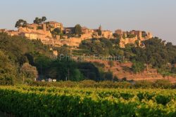 IMG_18068542_VAUCLUSE (84)  MéNERBES VILLAGE PERCHé LE VIGNOBL