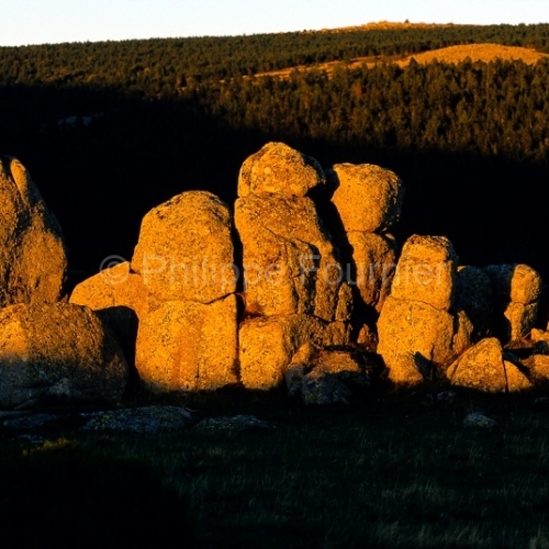 Mont-Lozère