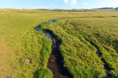 IMG_19076916_LOZèRE (48) NASBINALS MONTS D'AUBRAC RIVIèRE LA P