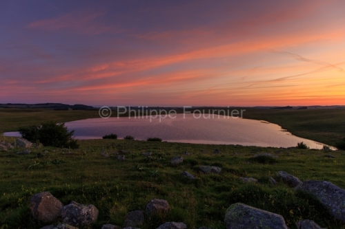 IMG_19077895_Lozère (48) Marchastel Monts d'Aubrac lever de sol